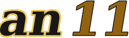 an11 logo